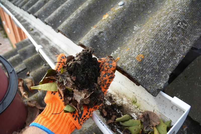 Gutter Clearing